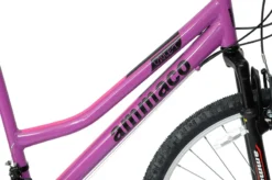 Ammaco Violet Mountain Bike Purple -Oxford || XLC || Shimano Sales 817Asiz9qIL. AC SL1500