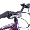 Professional Shocker 20 Inch Wheel Kids Mountain Bike Purple