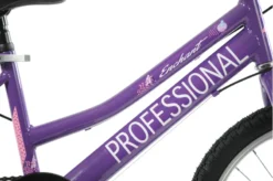 Professional Enchant 20 Inch Kids Bike Purple -Oxford || XLC || Shimano Sales ENCHANTEDa