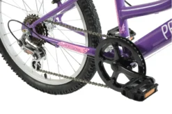 Professional Enchant 20 Inch Kids Bike Purple -Oxford || XLC || Shimano Sales ENCHANTEDg