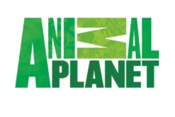 Animal Planet Rattlesnake Knee Elbow Pads