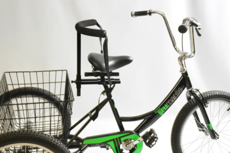 Trike Back Rest Support Belt 2 Trike Back Rest Support Belt - Image 2